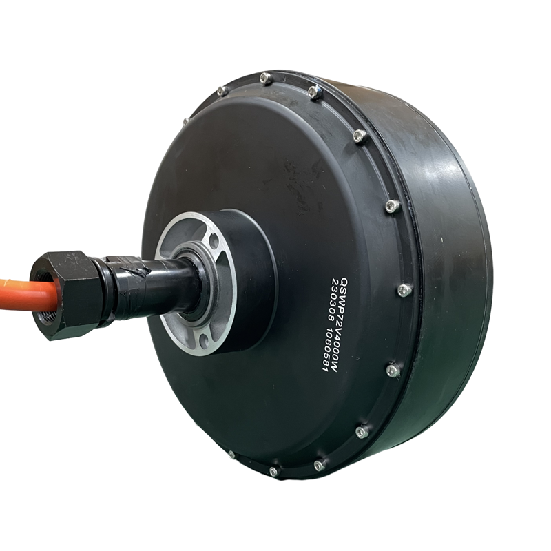 QS Motor 273 Dual 8000W Bürste – Qs Motor 273 8000W Hub Motor Bewertung und Preis